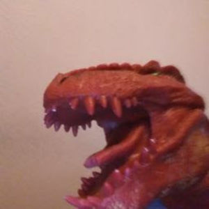 Meet your Posher, Carter